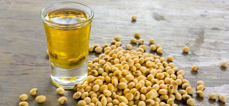 Logistics & Cold-Chain Shipping Solutions for Bulk Iranian Soybean Oil Export